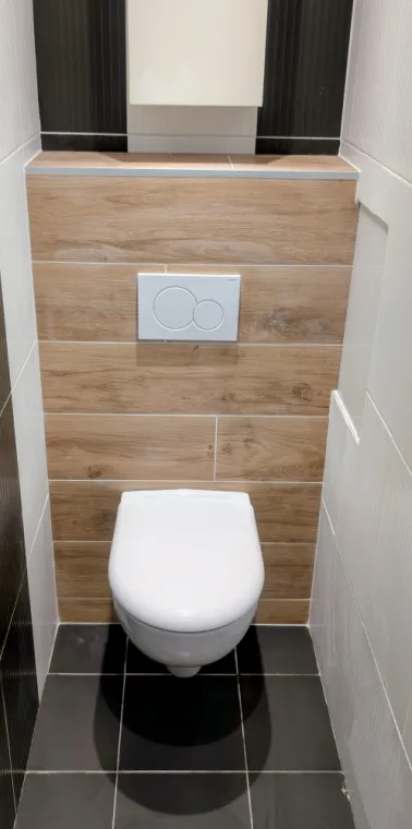 installation d'un toilette pour personne à mobilité réduite à Lyon , Lentilly, L’Atelier Qu’Antique